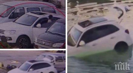 опасен шофьор куче паркира автомобила стопанина езеро китай видео