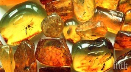 полската полиция арестува 100 килограма контрабанден кехлибар