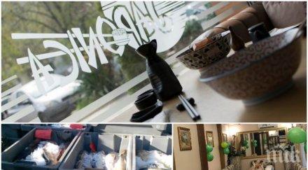 акция нап удари известен ресторант пловдив