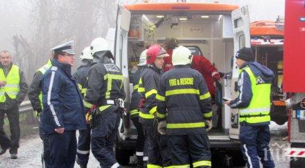 касапница пътищата 500 души загинаха катастрофи месеца близо 8000 ранените