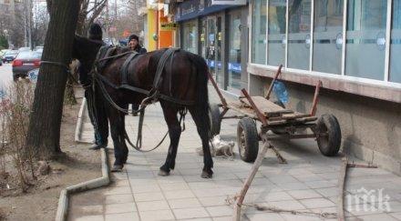 стреснат пиратки кон преобърна каруца благоевград пострадал
