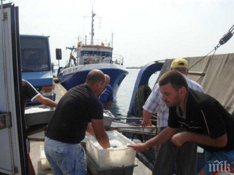 ЕС въвежда таван за улова на риба в Черно море