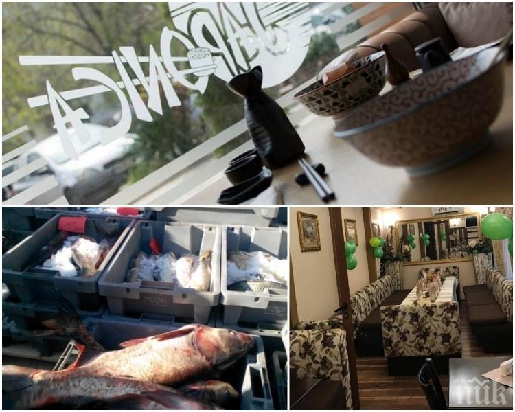 АКЦИЯ: НАП удари известен ресторант в Пловдив
