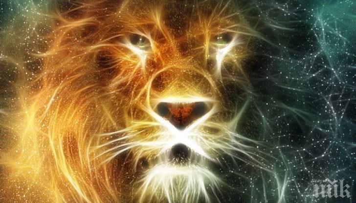 35 факта за Лъва, които доказват защо са топ зодия