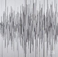 Земетресения разтърсиха Северна Сърбия и Албания