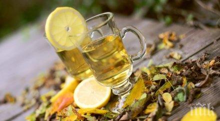 грижим имунната система