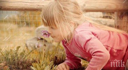 парадокс ароматите извикват силни спомени