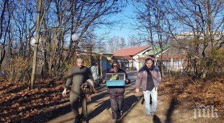 щастлива развръзка намериха папагала пепо добрич