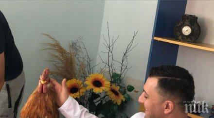 три секси сестри борис дали преглежда кокошки