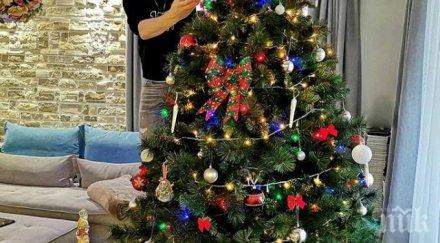 куриоз откраднаха елхата пожарната