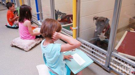 терапия деца четат приказки травмирани кученца приют мисури