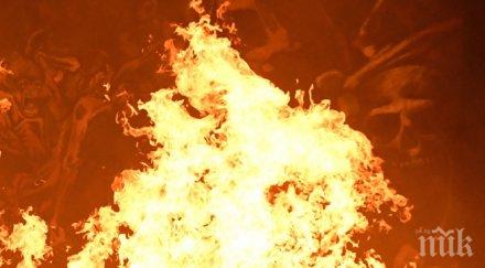 мюсюлмани изгориха коледна елха триполи