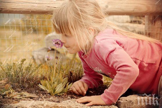 ПАРАДОКС: Защо ароматите извикват силни спомени?