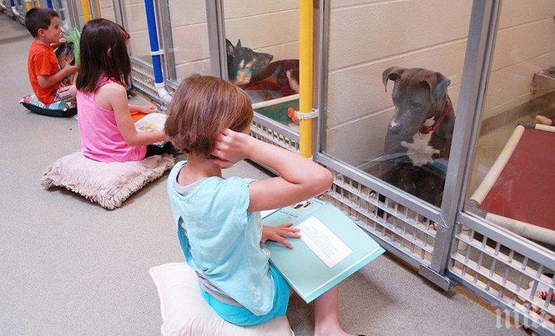 ТЕРАПИЯ: Деца четат приказки на травмирани кученца от приют в Мисури 