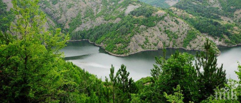 РАЗКРИТИЕ: Зелените са правили НАТУРА 2000 в България без научни данни 