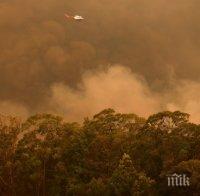 Десетки неовладени пожари заплашват Австралия - страната се готви за нови рекордни горещини