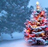 Навръх Рождество Христово имен ден празнуват повече от 137 хил. българи