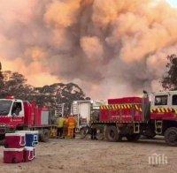 Огнеборците в Австралия взеха глътка въздух (ВИДЕО)
