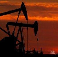 Кувейт и Саудитска Арабия сложиха край на спора си за находища на нефт