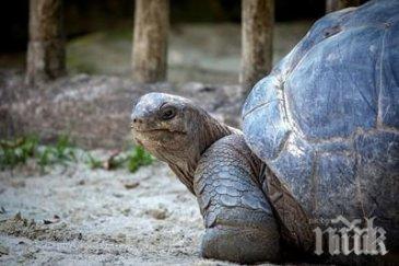 извънредно положение островите галапагос заради петролен разлив