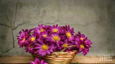 звездите говорят бързайте правете нищо важно