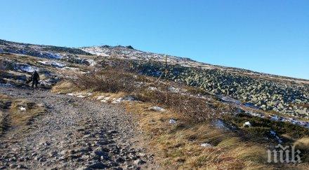 ураган вятър обръсна черни връх