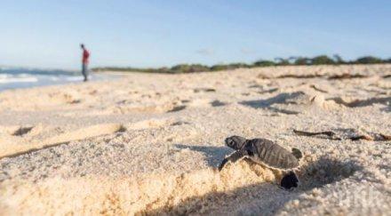 пострадали животни екокатастрофата галапагоските острови