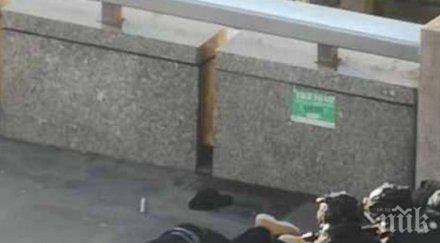 идентифициран мъжът използвал рог нарвал спре екстремист