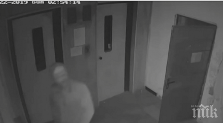 подготвят крадците люлин празниците