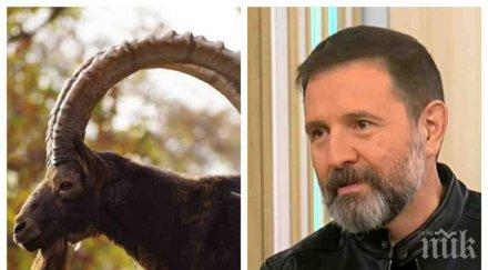 звездите подредиха астролог разкри политическата картина 2020 слави огрее блесне вмирисаните скумрии напускат политическата сцена