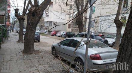 силният вятър разкъса кабели пловдивския кючук париж снимки