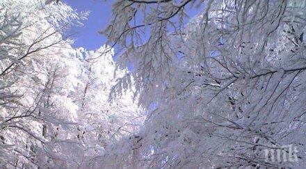 619 настъпва астрономическата зима