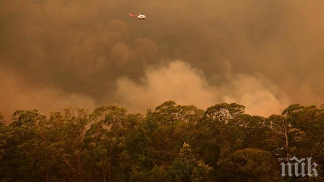 Десетки неовладени пожари заплашват Австралия - страната се готви за нови рекордни горещини