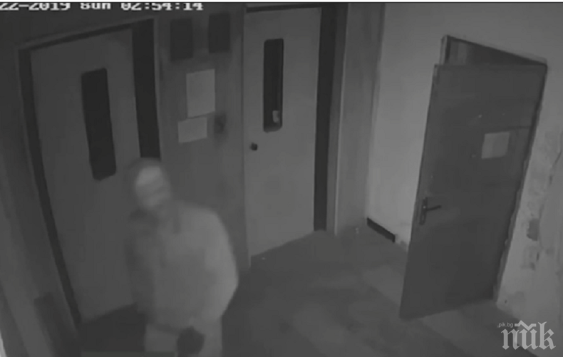 Ето как се подготвят крадците в Люлин за празниците