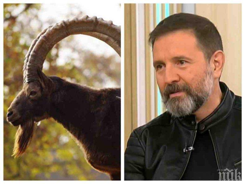 ЗВЕЗДИТЕ СЕ ПОДРЕДИХА! Астролог разкри политическата картина на 2020 г.: Слави няма да го огрее да блесне, вмирисаните скумрии напускат политическата сцена