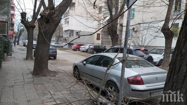 Силният вятър разкъса кабели в пловдивския Кючук Париж (СНИМКИ)