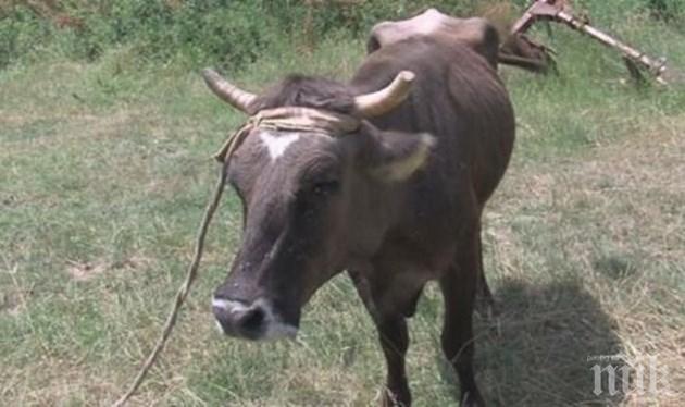 Кравата Пенка остава без дом за Коледа