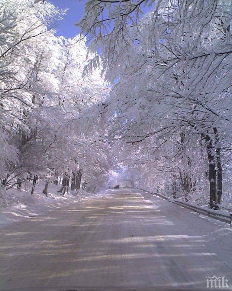 Утре в 6,19 ч. настъпва астрономическата зима