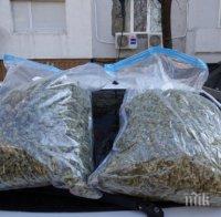 Акция край Елхово - арестуваха мъж с 9 кг марихуана