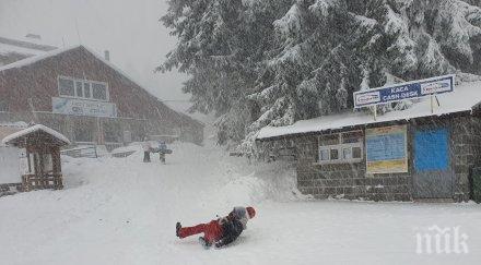 зимна приказка сняг затрупа витоша снимки