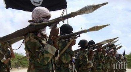 групировката шабаб пое отговорност взрива сомалия