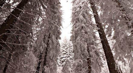 зимна приказка сняг натрупа витоша снимки