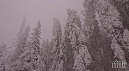лошо време гърция нова година