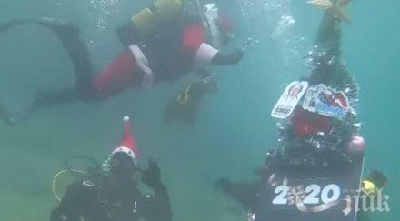 украсиха елха дъното охридското езеро видео