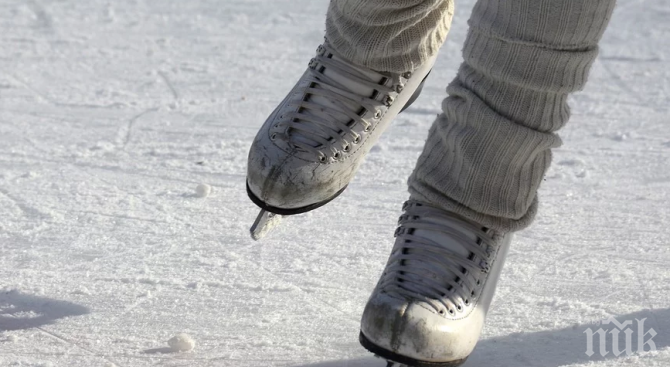 Крадци задигнаха пингвин от ледената пързалка в Бургас