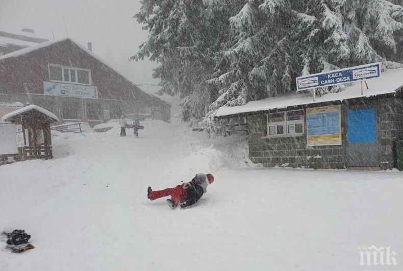 ЗИМНА ПРИКАЗКА: Сняг затрупа Витоша (СНИМКИ)