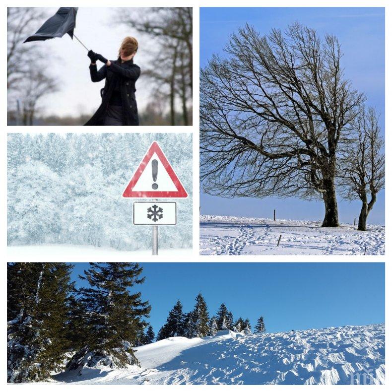 ЗИМАТА НАСТЪПВА: Сняг ще трупа в Северна България и планините, температурите ще паднат до минус 3 градуса