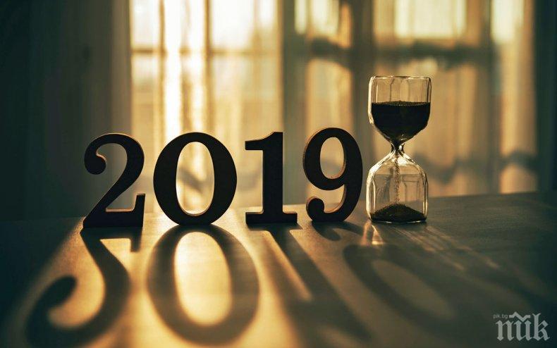 10 рекорда от 2019 година