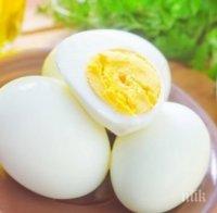 СЛЕД ПРЕЯЖДАНЕТО: Диета с варени яйца топи 11 кг за 2 седмици 