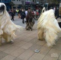 Сурвакари и кукери гониха злите сили в Благоевград
